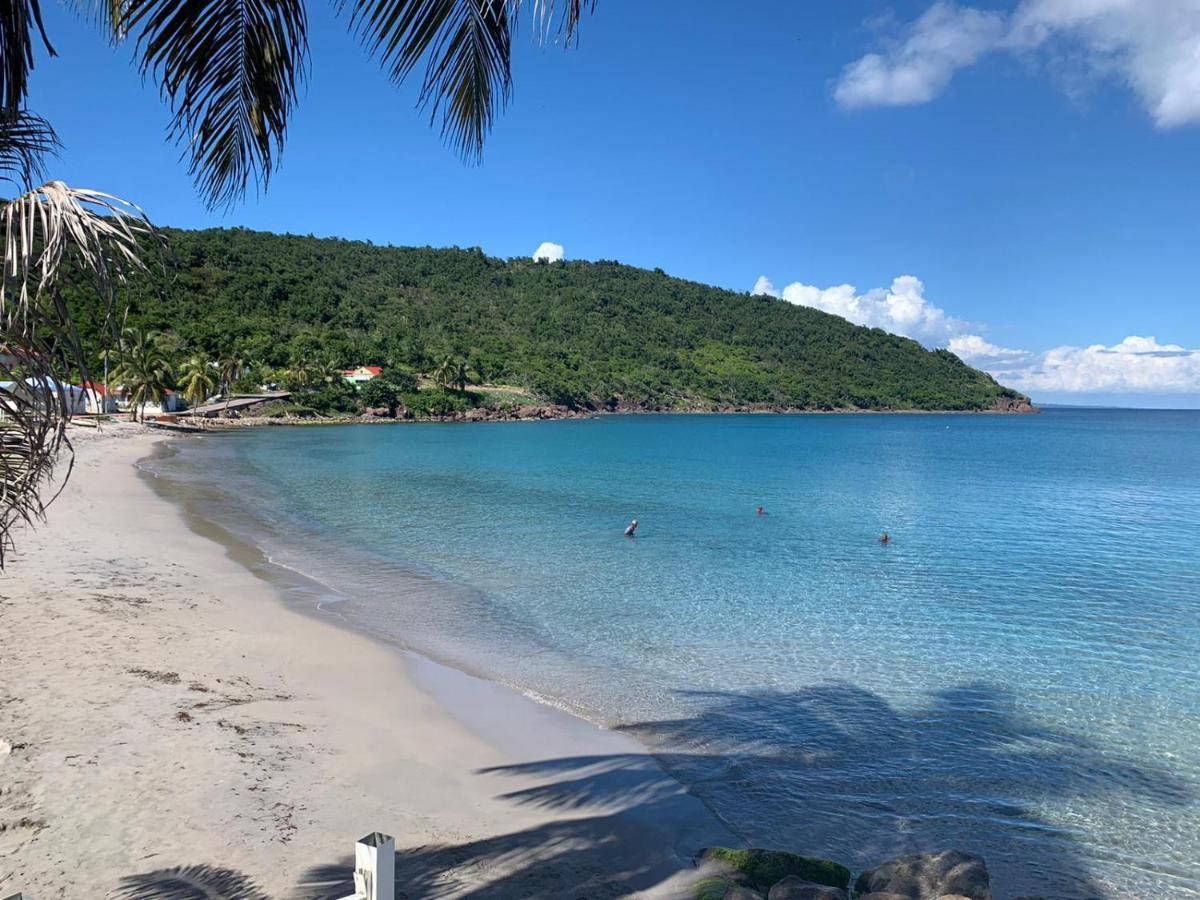 Ti Kaz Anoli Cottage En Bois Avec Vue Sur La Baie Terre-de-Bas Εξωτερικό φωτογραφία