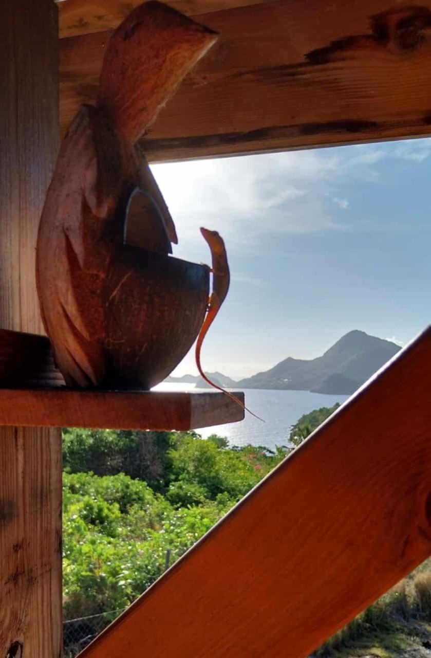 Ti Kaz Anoli Cottage En Bois Avec Vue Sur La Baie Terre-de-Bas Εξωτερικό φωτογραφία